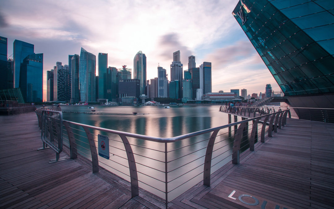Economics Tuition: How can Singapore overcome her economic constraints to achieve sustainable economic growth?
